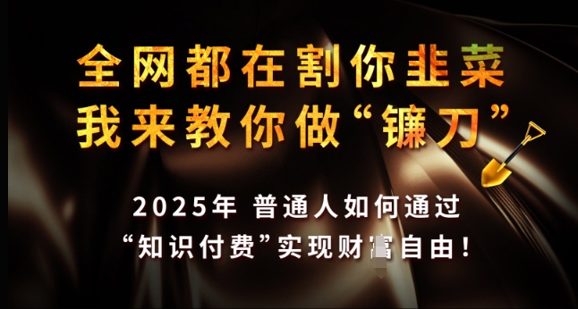 全网都在割你韭菜，我来教你做镰刀，2025年普通人如何通过 知识付费 实现财F自由【揭秘】-金易项目网