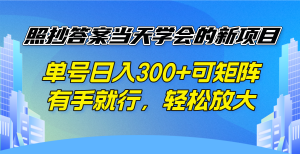 照抄答案当天学会的新项目，单号日入300 +可矩阵，有手就行，轻松放大-金易项目网
