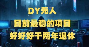 DY无人，目前最稳的项目，矩阵放大边旅游边赚钱，好好好干两年退休-金易项目网