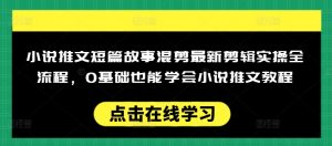 小说推文短篇故事混剪最新剪辑实操全流程，0基础也能学会小说推文教程，肯干多发日入多张-金易项目网