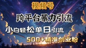 跨平台暴力引流，私域完美闭环，日引500+精准创业粉-金易项目网