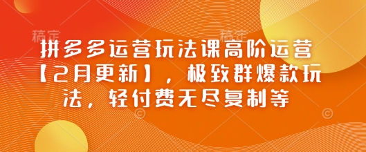 拼多多运营玩法课高阶运营【2月更新】，极致群爆款玩法，轻付费无尽复制等-金易项目网