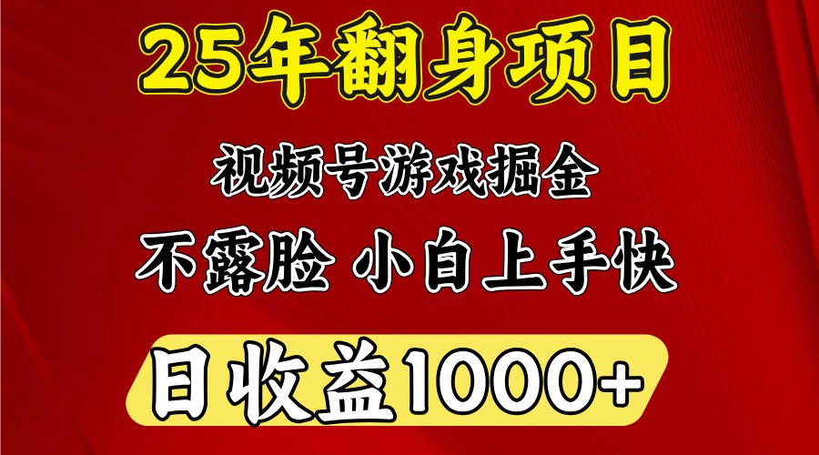 一天收益1000+ 25年开年落地好项目-金易项目网