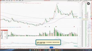 大师兄·鹿鼎山系列内部课程(更新2025年1月)-金易项目网