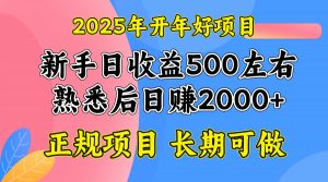 2025开年好项目，单号日收益2000左右-金易项目网