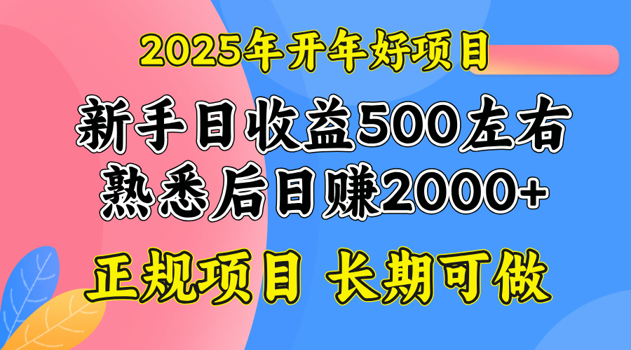 2025开年好项目，单号日收益2000左右-金易项目网