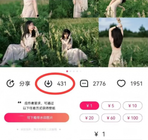 最新图虫搬运项目，收益无上限，利用AI小白也可日赚500+-金易项目网