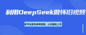 利用DeepSeek做怀旧视频，流量号多渠道变现能力强-金易项目网