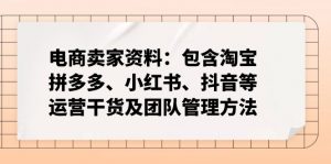 电商卖家资料：包含淘宝、拼多多、小红书、抖音等运营干货及团队管理方法-金易项目网