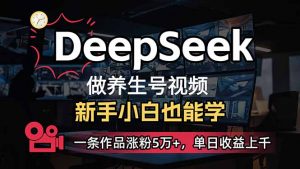 小白用DeepSeek做养生号，一条作品涨粉5万+，单日收益上千-金易项目网