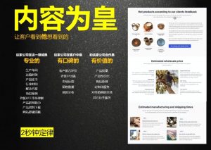 刘老师·外贸询盘增长秘籍从0到1的实战指南-金易项目网