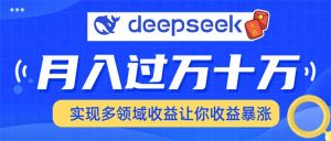 用DeepSeek席卷各大平台，快速上手实现多领域，让你收入猛增-金易项目网