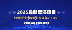 2025最新蓝海项目，零门槛轻松复制，月入10万+，新手也能操作！-金易项目网