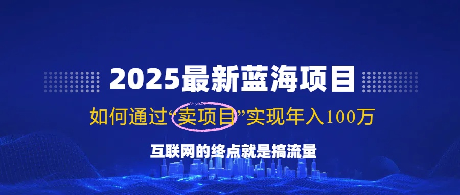 2025最新蓝海项目，零门槛轻松复制，月入10万+，新手也能操作！-金易项目网