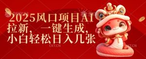 2025风口项目AI拉新，一键生成，小白轻松日入几张-金易项目网