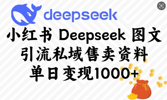 小红书Deepseek图文引流私域售卖资料，单日变现多张-金易项目网