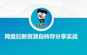 网盘拉新资源自动转存分享实战-金易项目网