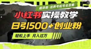 2月小红书最新日引500+创业粉实操教学【超详细】小白轻松上手，月入1W+，附小红书养号起号SOP-金易项目网