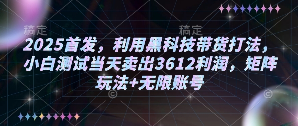 2025首发，利用黑科技带货打法，小白测试当天卖出3612利润，矩阵玩法+无限账号【揭秘】-金易项目网