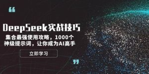 DeepSeek实战技巧：集合最强使用攻略，1000个神级提示词，让你成为AI高手-金易项目网