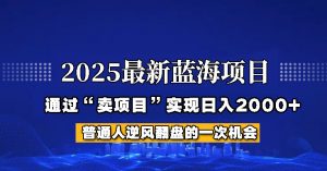 2025年蓝海项目，如何通过“网创项目”日入2000+-金易项目网