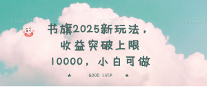 书旗2025新玩法，收益突破上限10000，小白可做-金易项目网