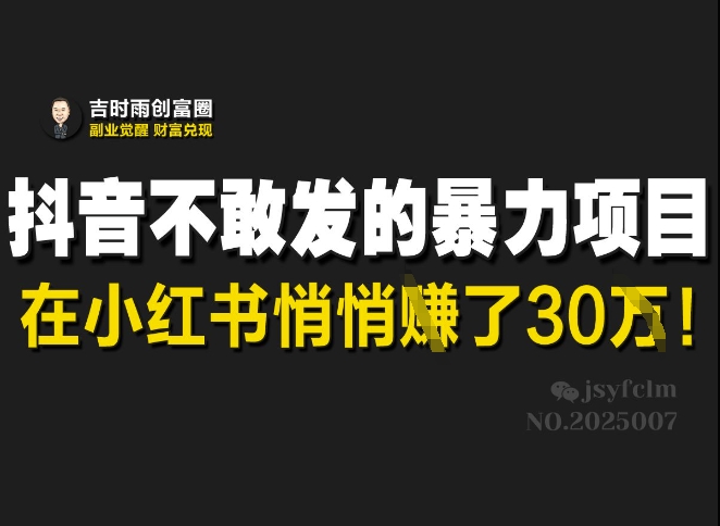 抖音不敢发的暴利项目，在小红书悄悄挣了30W-金易项目网
