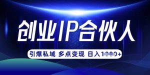 云帆·创业ip合伙人打造3.0，从0到1教你做网创，实现月入过W-金易项目网