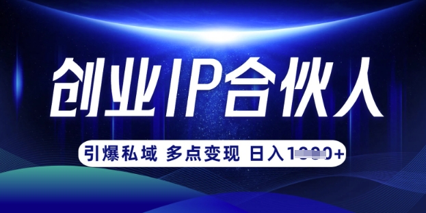 云帆·创业ip合伙人打造3.0，从0到1教你做网创，实现月入过W-金易项目网