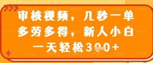 审核视频，几秒一单，多劳多得，新人小白一天轻松3张【揭秘】-金易项目网