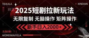 2025短剧拉新玩法，无需注册登录，无限0撸，无脑批量操作日入2000+-金易项目网