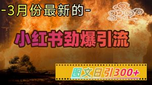 小红书超劲爆引流手段，图文日引300+轻松变现1W-金易项目网