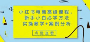 小红书电商高级课程，新手小白必学方法，实操教学+案例分析-金易项目网
