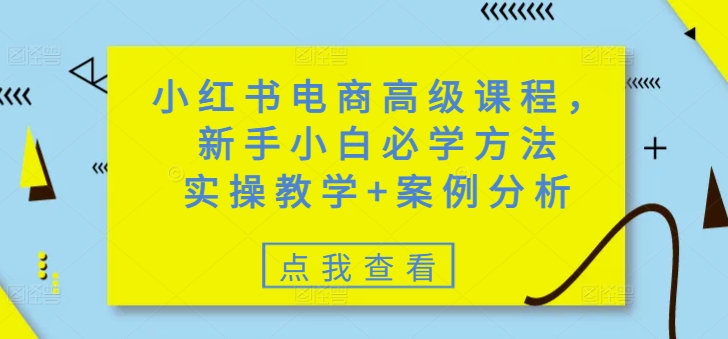 小红书电商高级课程，新手小白必学方法，实操教学+案例分析-金易项目网
