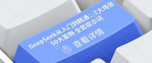 DeepSeek从入门到精通：7大场景 50大案例 全套提示词【文档】-金易项目网