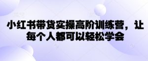 小红书带货实操高阶训练营，让每个人都可以轻松学会-金易项目网