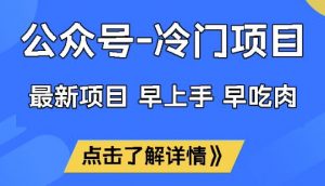 公众号冷门赛道，早上手早吃肉，单月轻松稳定变现1W【揭秘】-金易项目网