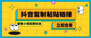 零撸小项目，新玩法，抖音复制链接0.07一条，20秒一条，无限制。-金易项目网