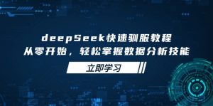 deepSeek快速驯服教程，从零开始，轻松掌握数据分析技能-金易项目网