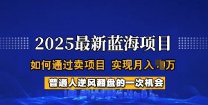 2025蓝海项目，普通人如何通过卖项目，实现月入过W，全过程【揭秘】-金易项目网