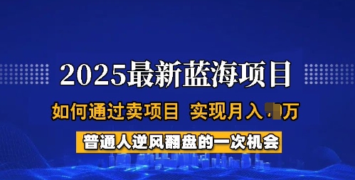 2025蓝海项目，普通人如何通过卖项目，实现月入过W，全过程【揭秘】-金易项目网