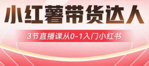 小红薯达人带货启航计划，3节直播课从0-1入门小红书-金易项目网