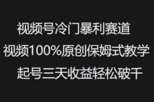视频号冷门暴利赛道视频100%原创保姆式教学起号三天收益轻松破千-金易项目网