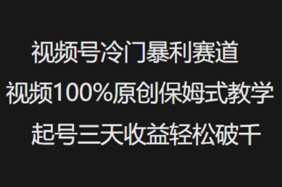视频号冷门暴利赛道视频100%原创保姆式教学起号三天收益轻松破千-金易项目网