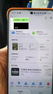抖音暴力涨粉技术：一天轻松1-10万粉，技术不确定真实性，自测-金易项目网