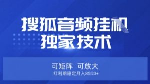 【搜狐音频挂G】独家技术，可矩阵可放大，红利期稳定月入8k【揭秘】-金易项目网