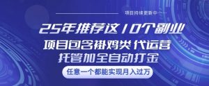 25年推荐这10个副业项目包含褂鸡类、代运营托管类、全自动打金类【揭秘】-金易项目网