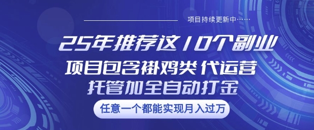 25年推荐这10个副业项目包含褂鸡类、代运营托管类、全自动打金类【揭秘】-金易项目网