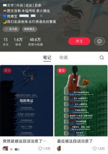 小红书治愈文案图文笔记，零门槛，一分钟制作轻松制作爆款作品月入万元-金易项目网