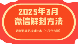 2025年3月微信解封方法 最新跳辅助核对技术【小伙伴亲测】-金易项目网